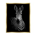 thumbnail image 1 of Stupell Industries Striking Greyscale Monochrome Zebra Photography Portrait Metallic Gold Framed Floating Canvas Wall Art, 16x20, by Incado, 1 of 5