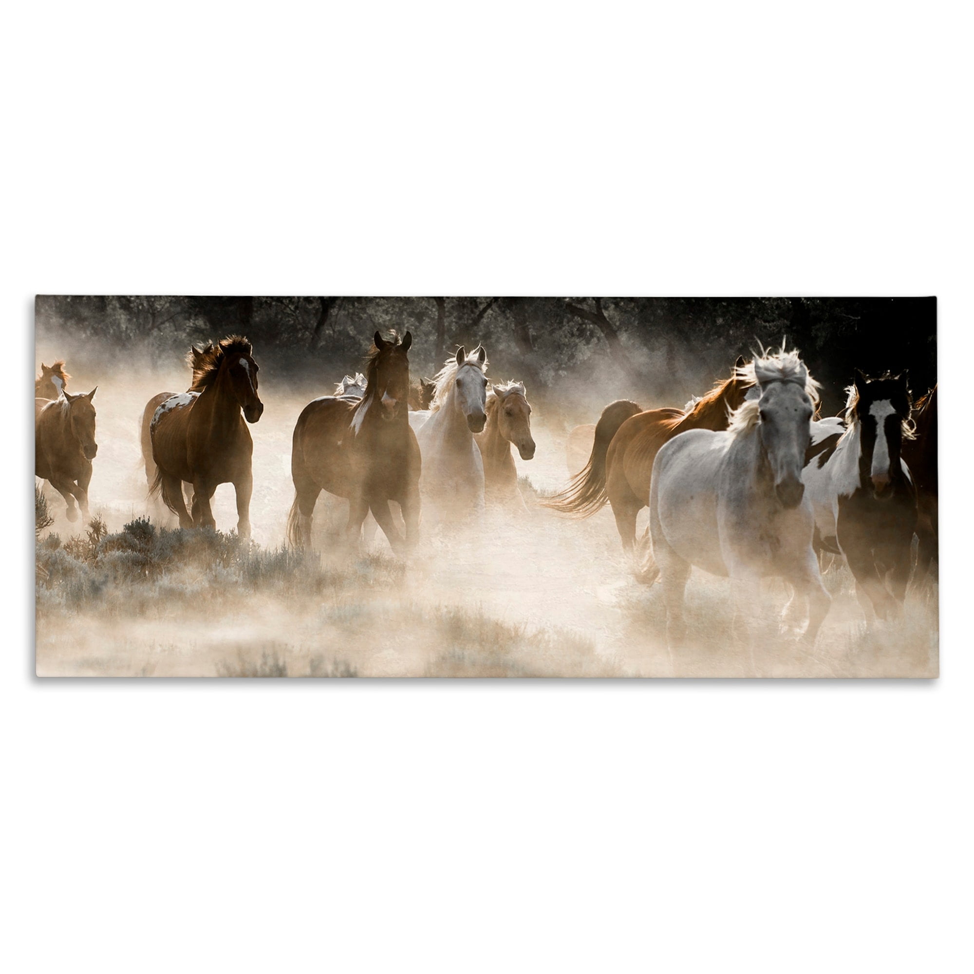 Stupell Industries Striking Horse Herd Galloping Rural Wildlife Photography Photograph Gallery Wrapped Canvas Print Wall Art, Design by Danita Delimont