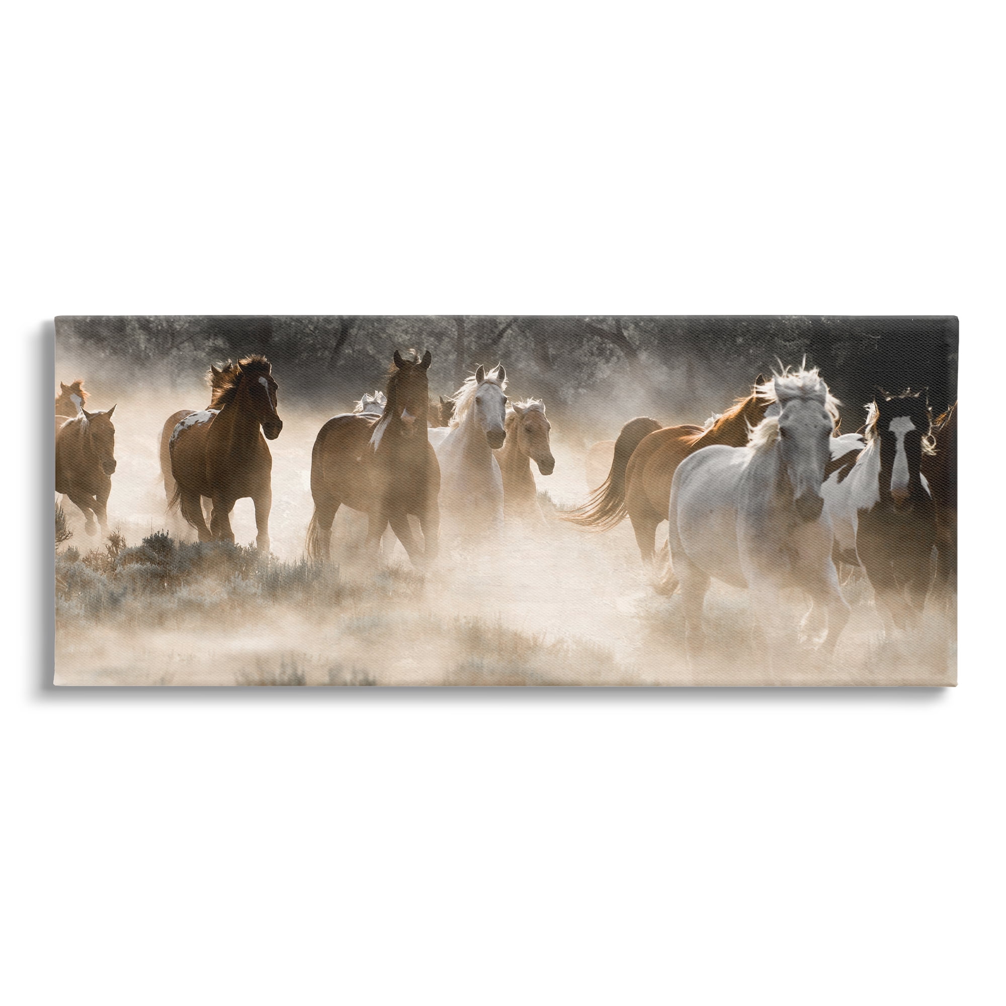 Stupell Industries Striking Horse Herd Galloping Rural Wildlife Photography Photograph Gallery Wrapped Canvas Print Wall Art, Design by Danita Delimont