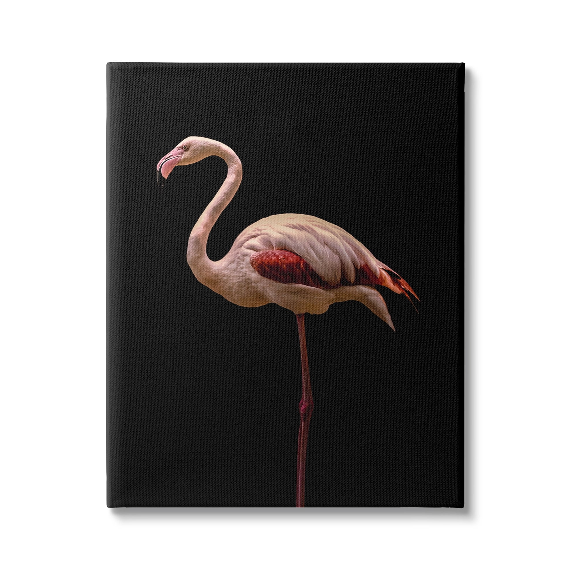 Stupell Industries Striking Pink Flamingo Portrait Detailed Photography , 16 x 20, Design by Incado