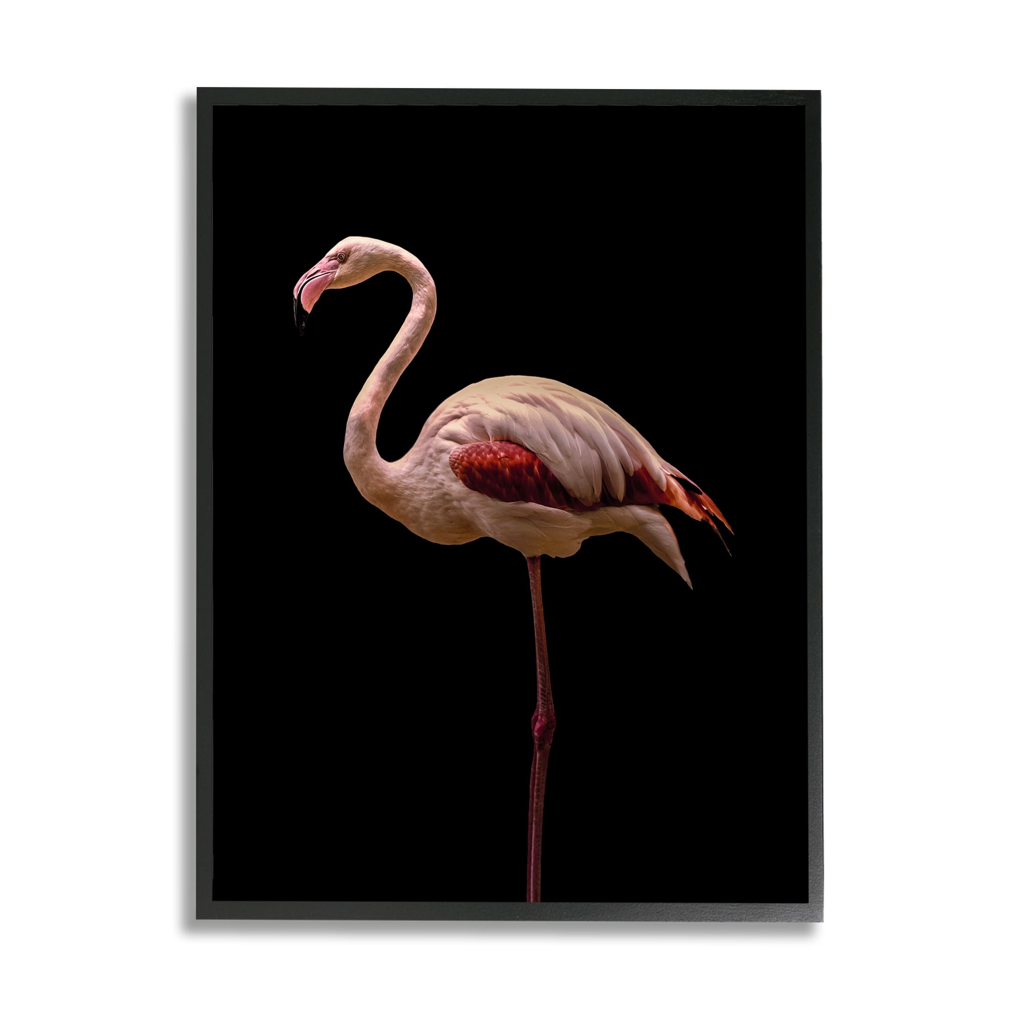 Stupell Industries Striking Pink Flamingo Portrait Detailed Photography , 24 x 30, Design by Incado