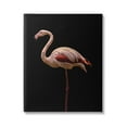 thumbnail image 1 of Stupell Industries Striking Pink Flamingo Portrait Detailed Photography Classic Photography Gallery-Wrapped Canvas Print Wall Art, 24 x 30, Design by Incado, 1 of 5