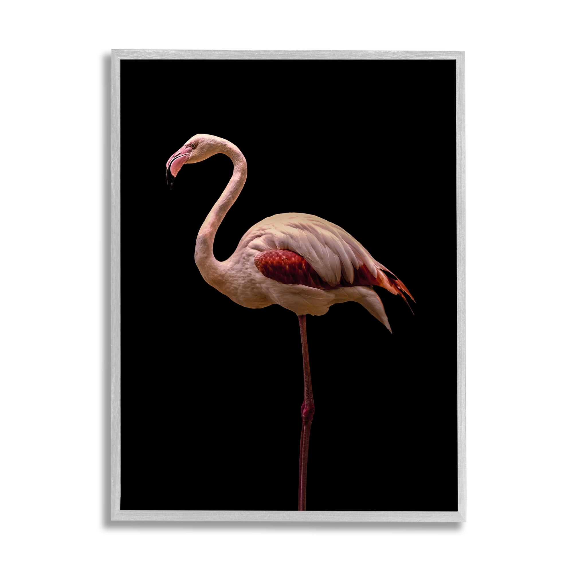 Stupell Industries Striking Pink Flamingo Portrait Detailed Photography Gray Framed Art Print Wall Art, 11x14, by Incado