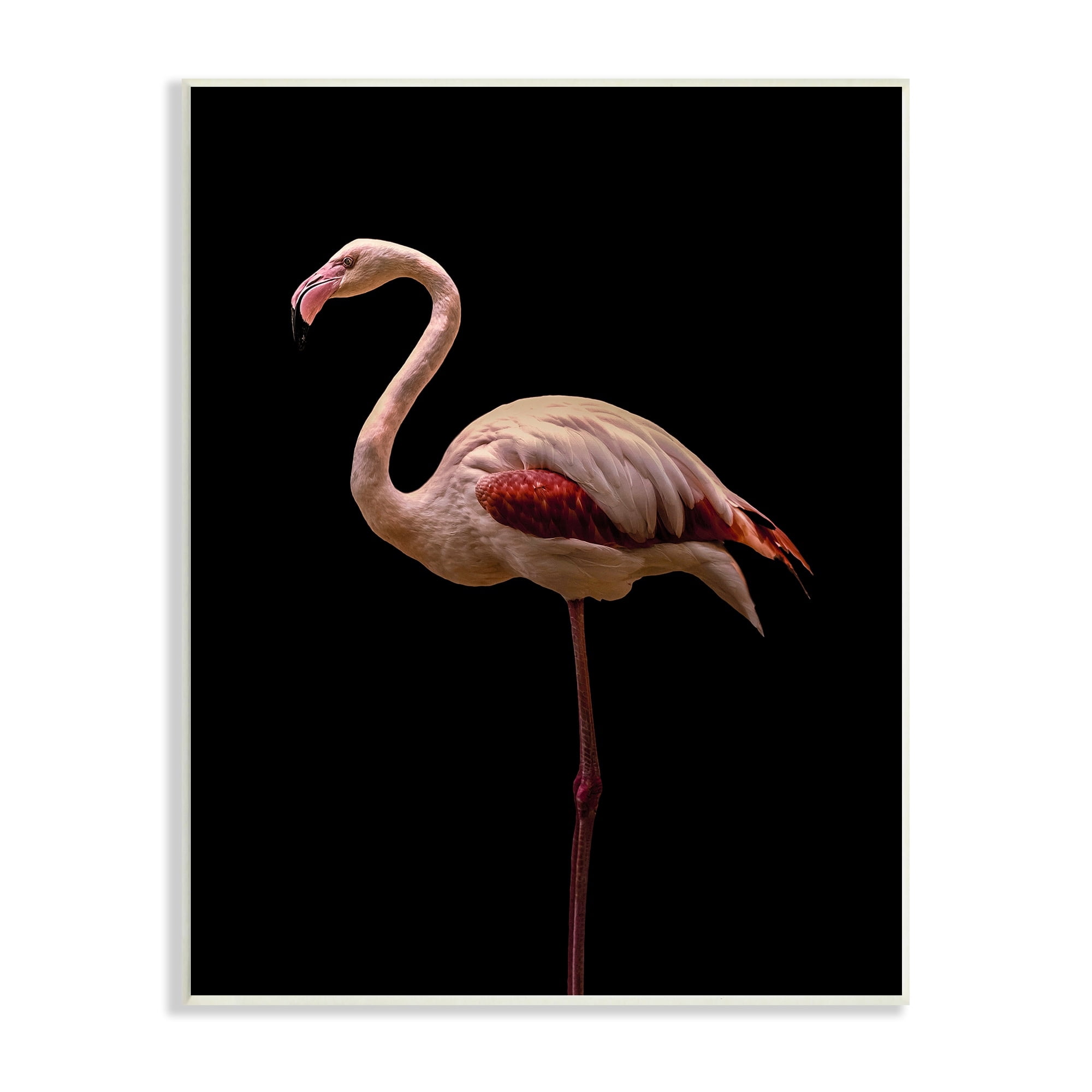 Stupell Industries Striking Pink Flamingo Portrait Detailed Photography Unframed Art Print Wall Art, 13x19, by Incado