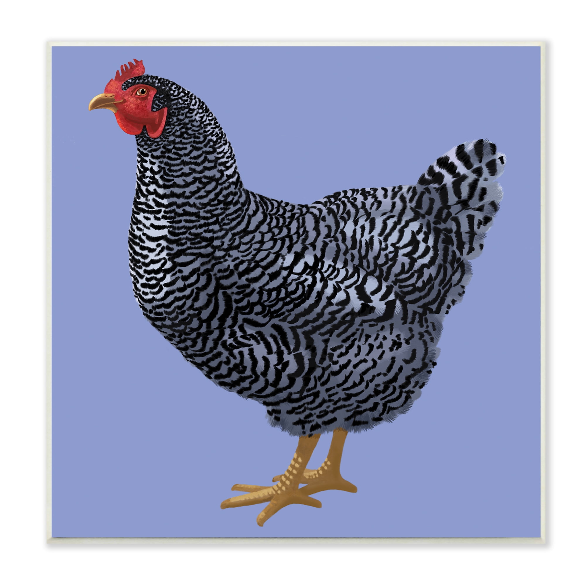 Stupell Industries Striped Farm Chicken Over Purple Smiling Bird, 12 x 12, Designed by Sally Springer Griffith