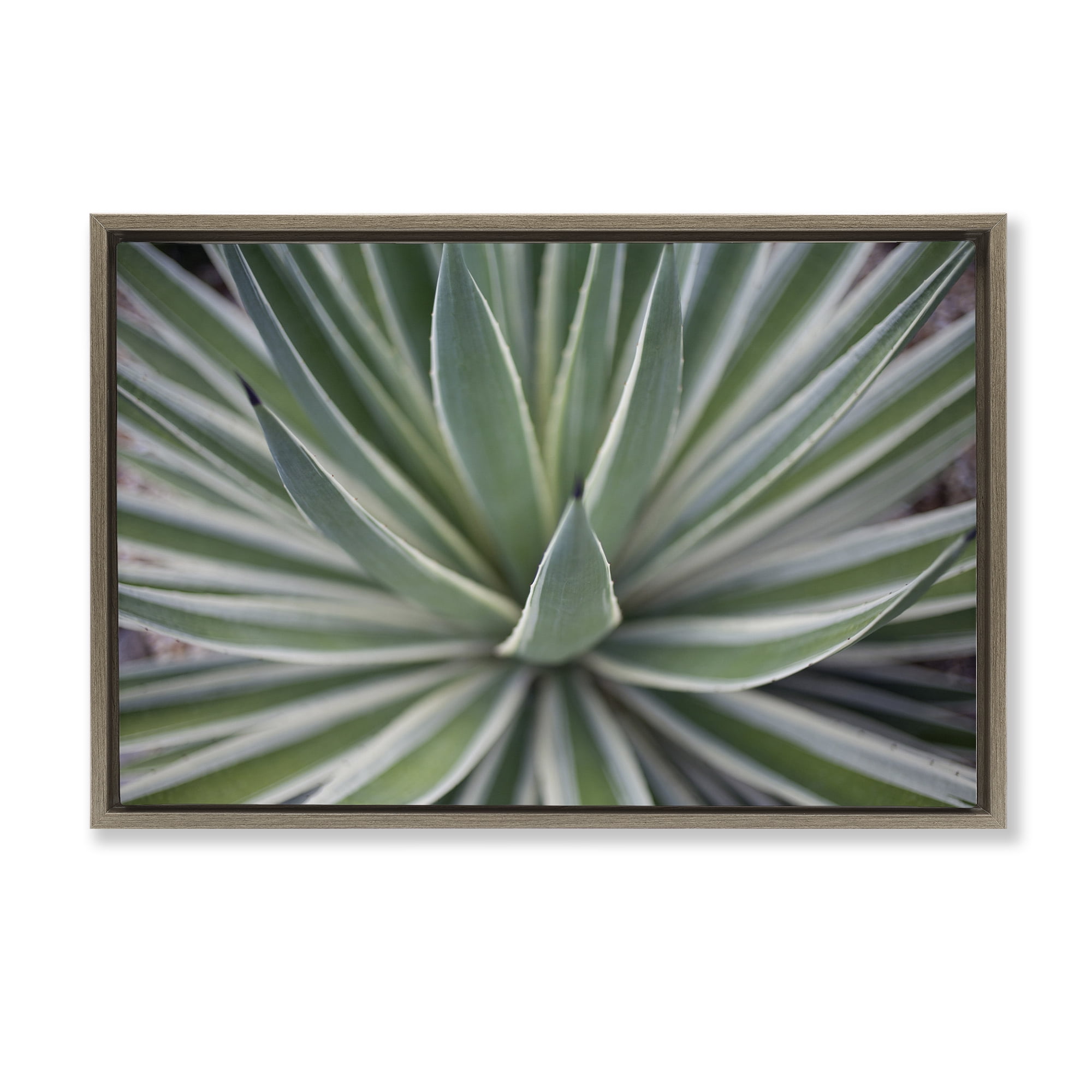 Stupell Industries Striped Plant Leaves Botanical & Floral Photography Brown Floater Framed Canvas Art Print Wall Art, 25 x 17