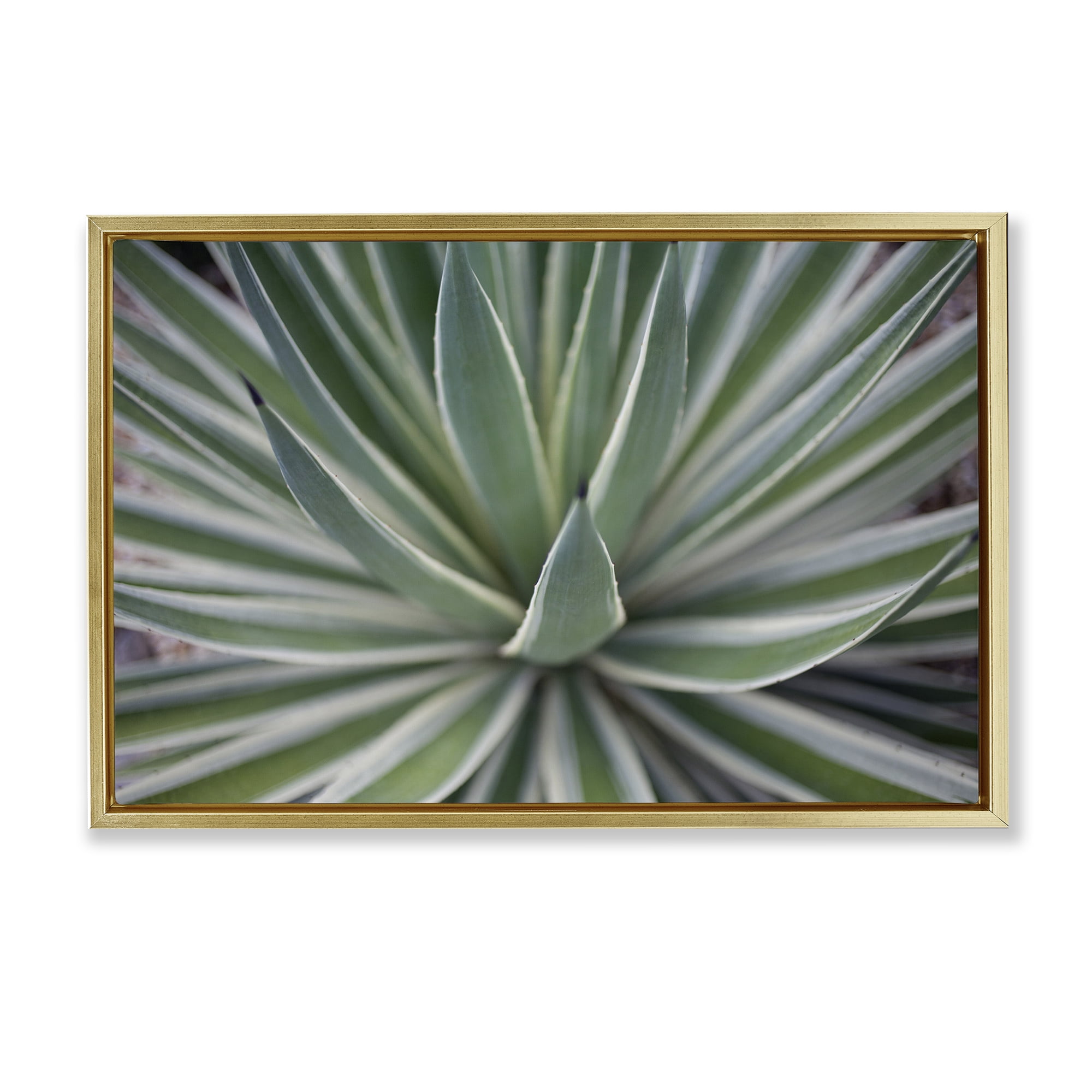 Stupell Industries Striped Plant Leaves Botanical & Floral Photography Gold Floater Framed Canvas Art Print Wall Art, 25 x 17