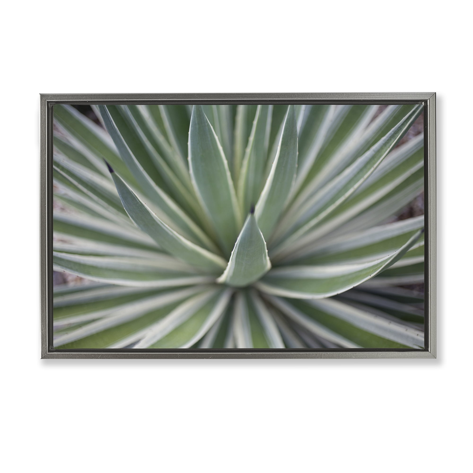 Stupell Industries Striped Plant Leaves Botanical & Floral Photography Gray Floater Framed Canvas Art Print Wall Art, 25 x 17