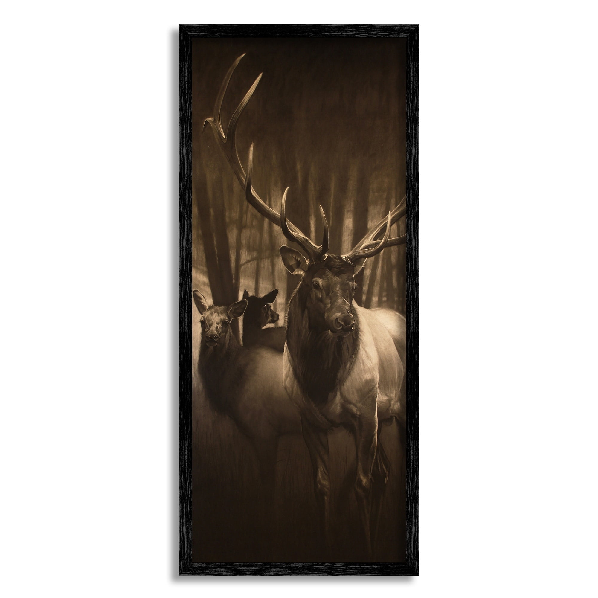 Stupell Industries Strong Buck and Woodland Deer Portrait Realistic Drawing Modern Drawing Black Framed Art Print Wall Art, 10 x 24, Design by Cole Johnson