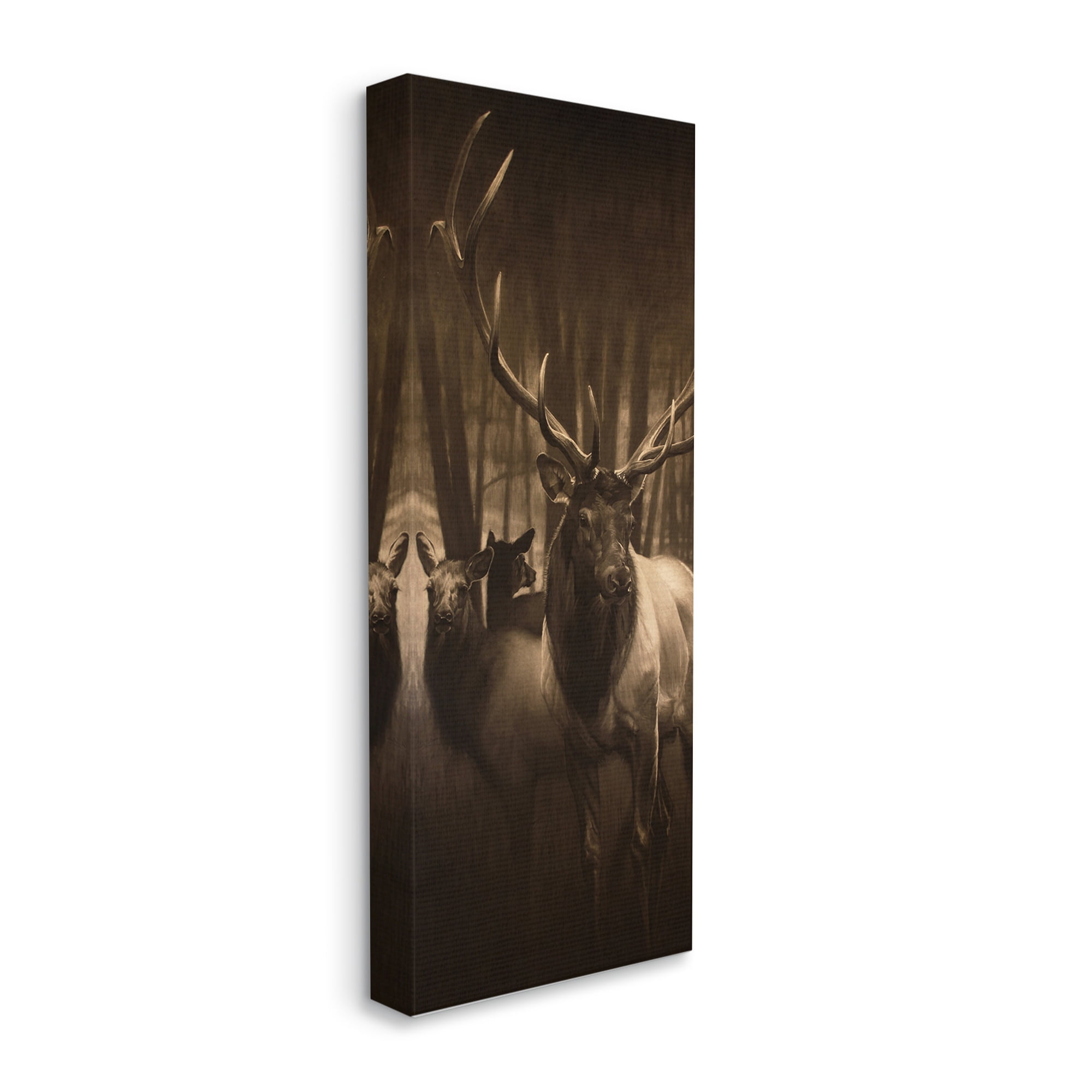 Stupell Industries Strong Buck and Woodland Deer Portrait Realistic Drawing Animals & Insects Painting Gallery Wrapped Canvas Print Wall Art, 10 x 24