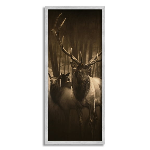 Stupell Industries Strong Buck and Woodland Deer Portrait Realistic Drawing Animals & Insects Painting Gray Framed Art Print Wall Art, 10 x 24