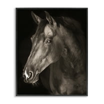 Stupell Industries Strong Stallion Horse Portrait Black Framed Giclee Art design by Marcus Prime, 14 x 11