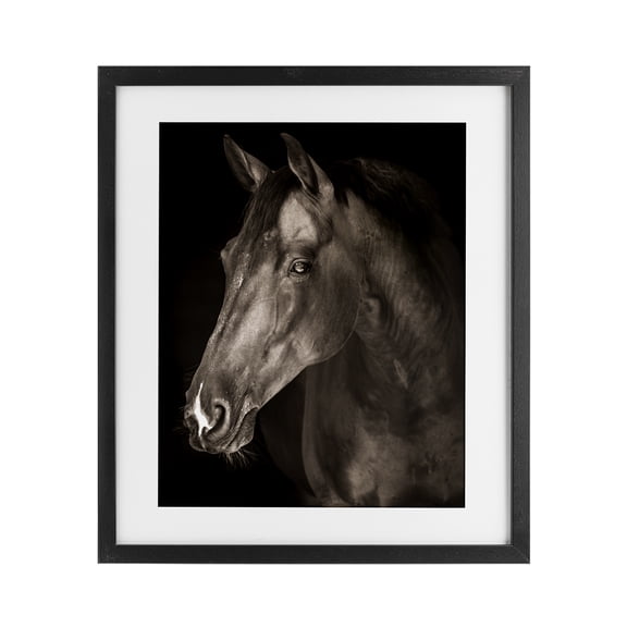 Stupell Industries Strong Stallion Horse Portrait Black Framed Print Under Glass design by Marcus Prime, 16 x 13