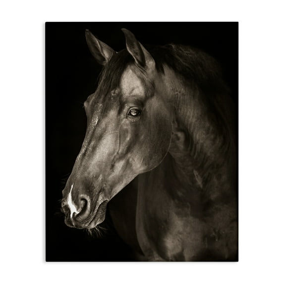 Stupell Industries Strong Stallion Horse Portrait Canvas Wall Art design by Marcus Prime, 30 x 24