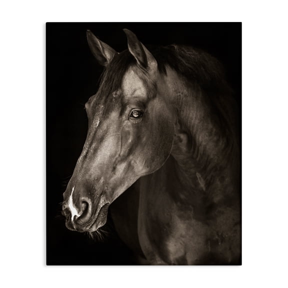 Stupell Industries Strong Stallion Horse Portrait Canvas Wall Art design by Marcus Prime, 40 x 30