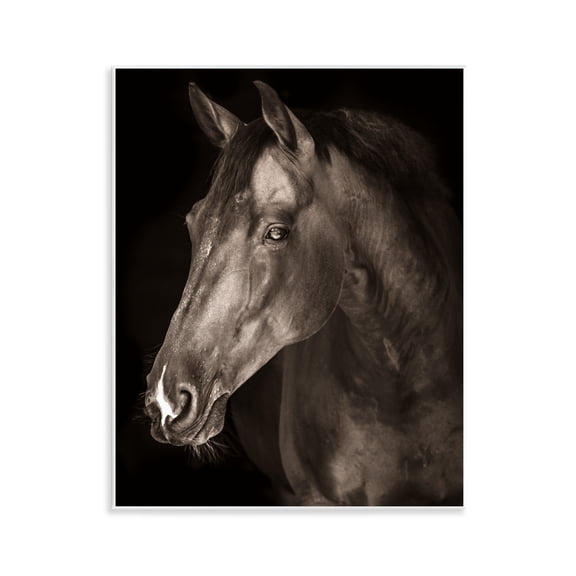 Stupell Industries Strong Stallion Horse Portrait Wall Plaque Art design by Marcus Prime, 14 x 11