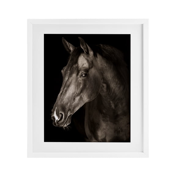 Stupell Industries Strong Stallion Horse Portrait White Framed Print Under Glass design by Marcus Prime, 21 x 17