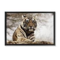 Stupell Industries Strong Tiger Atop Hill Animals & Insects Photography Black Floater Framed Canvas Art Print Wall Art, 25 x 17