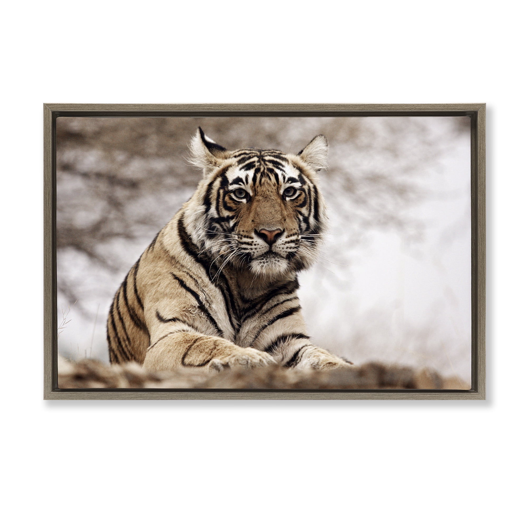 Stupell Industries Strong Tiger Atop Hill Animals & Insects Photography Brown Floater Framed Canvas Art Print Wall Art, 25 x 17