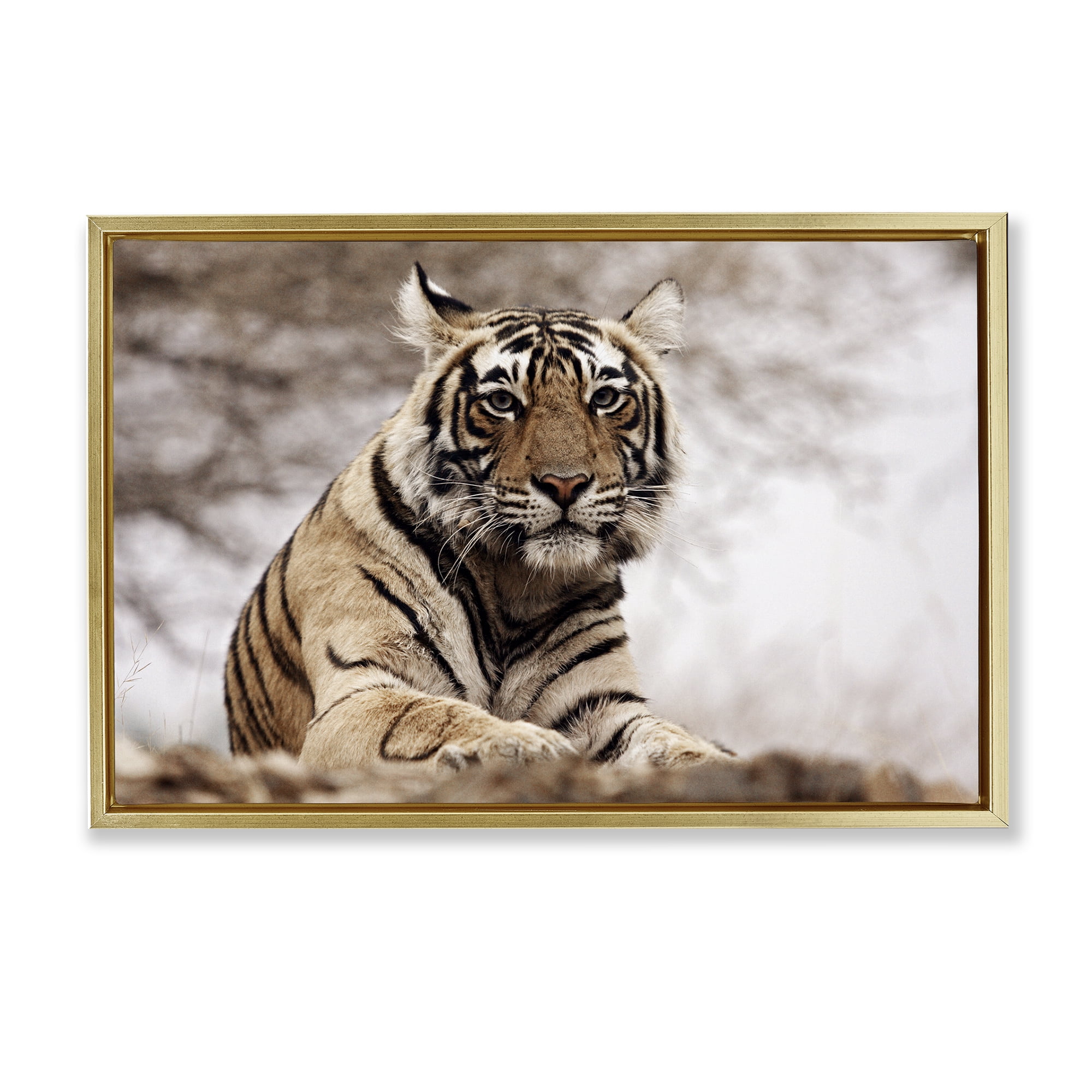 Stupell Industries Strong Tiger Atop Hill Animals & Insects Photography Gold Floater Framed Canvas Art Print Wall Art, 25 x 17