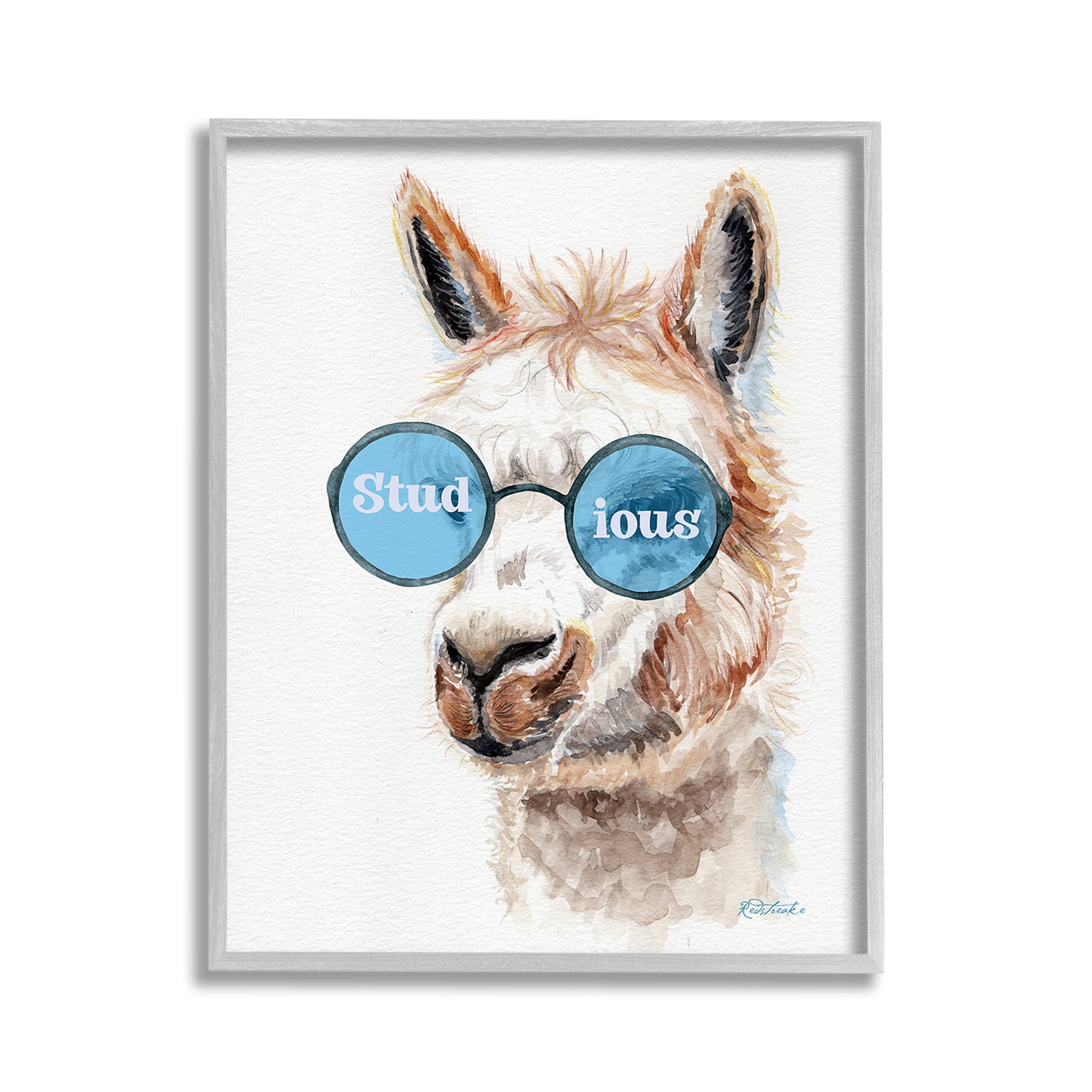 Stupell Industries Stud-ious Funny Llama Animals & Insects Painting Gray Framed Art Print Wall Art, 11 x 14