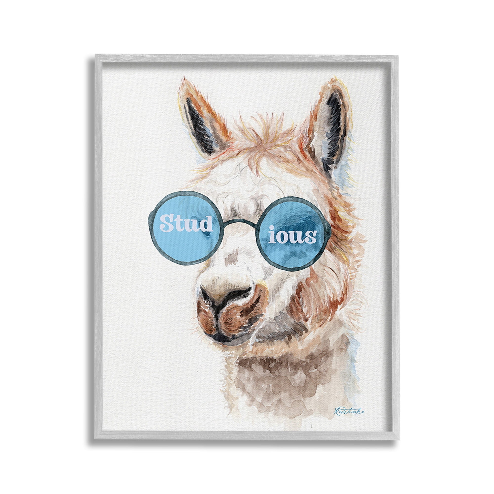 Stupell Industries Stud-ious Funny Llama Animals & Insects Painting Gray Framed Art Print Wall Art, 16 x 20