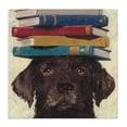 thumbnail image 1 of Stupell Industries Contemporary Studious Abby Dog Canvas Art, 24 x 24, by Studio Bautista, 1 of 8