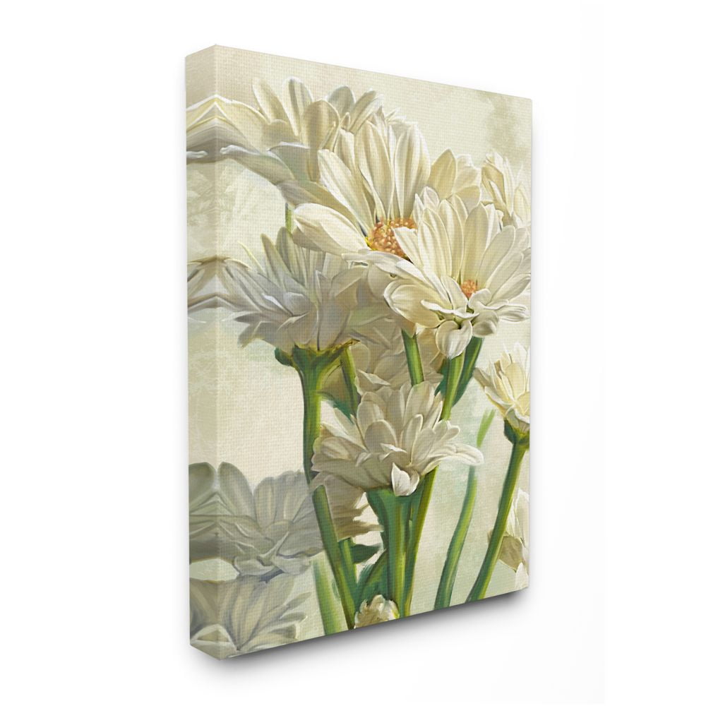 Stupell Industries Study of White Daisy Petals Spring Florals Designed by Ziwei Li