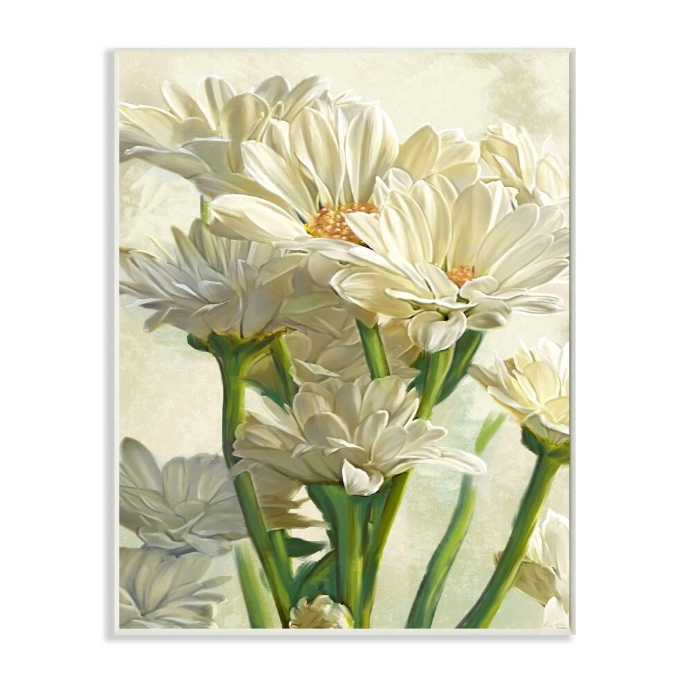 Stupell Industries Study of White Daisy Petals Spring Florals Designed by Ziwei Li