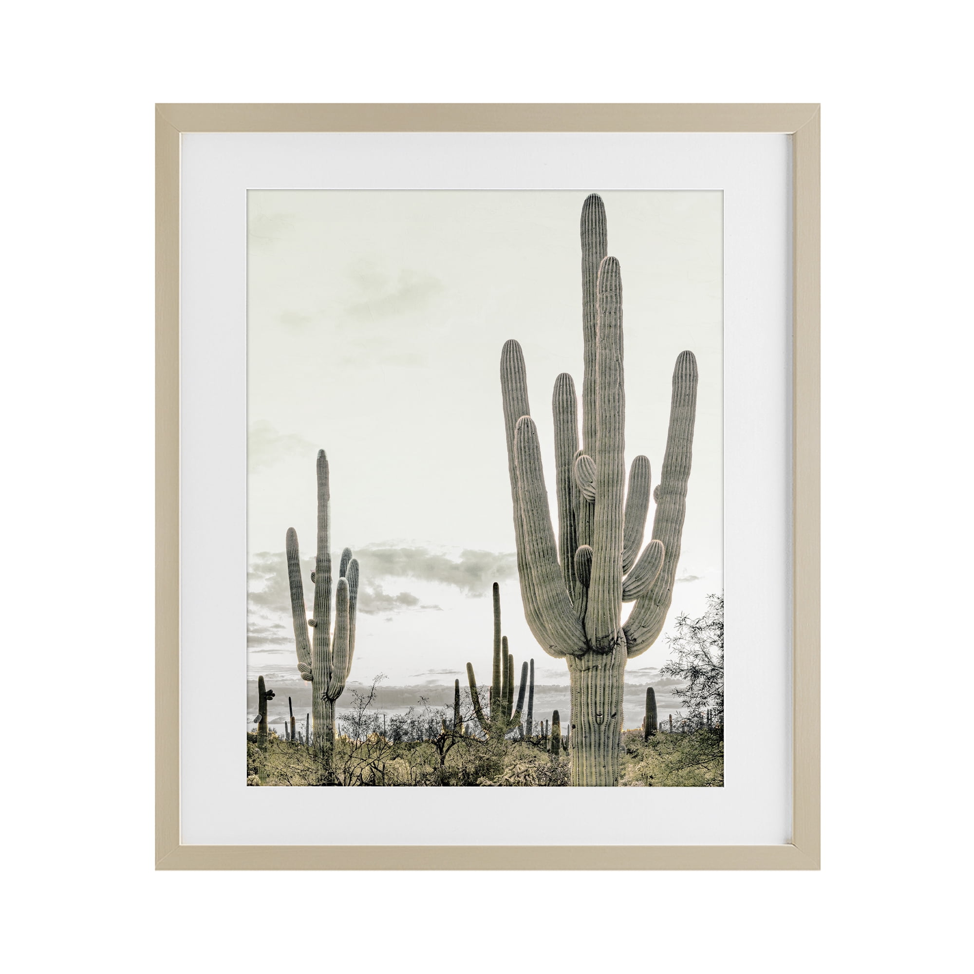 Stupell Industries Subdued Desert Cacti Birch Framed Print Under Glass, design by Kim Allen