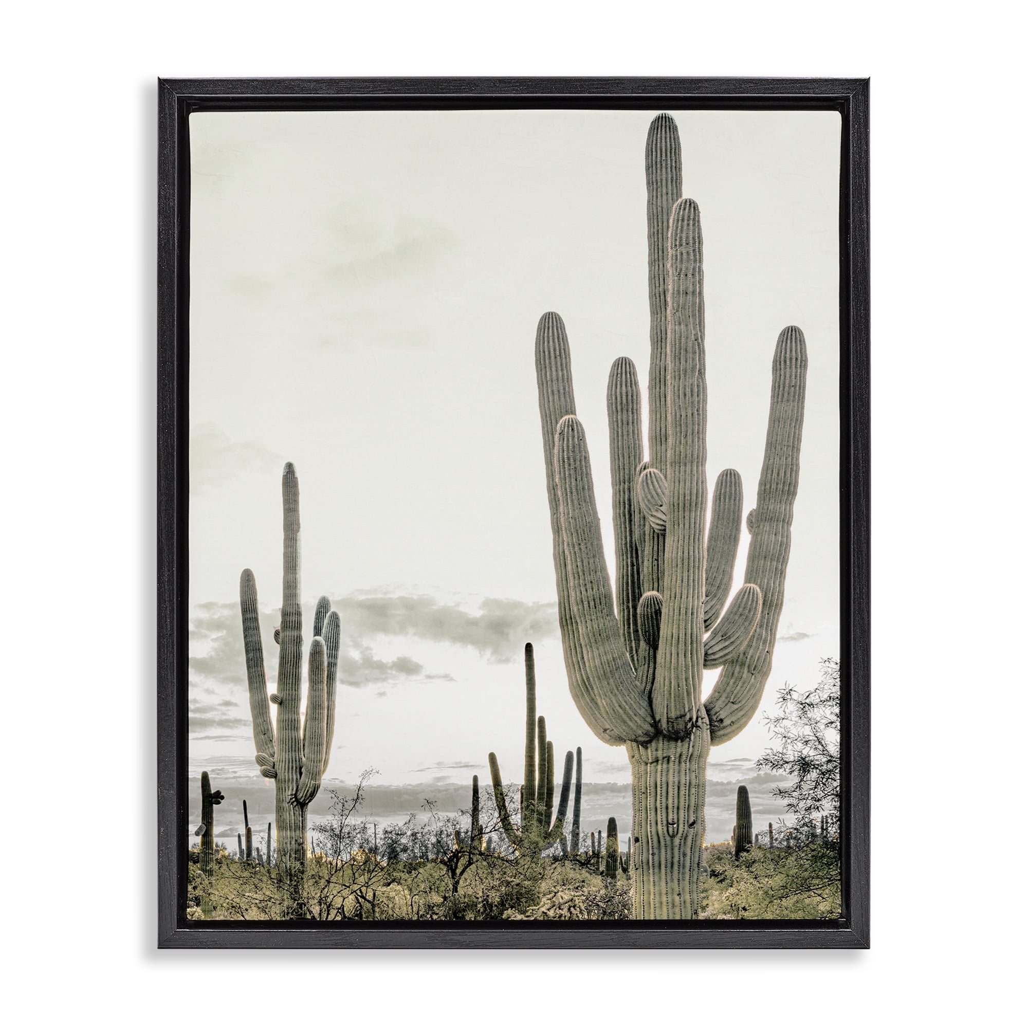 Stupell Industries Subdued Desert Cacti Black Framed Floater Canvas Wall Art, design by Kim Allen