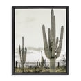 thumbnail image 1 of Stupell Industries Rustic Lodge Subdued Desert Cacti Black Floating Frame Canvas Art, 17 x 21, by Kim Allen, 1 of 8