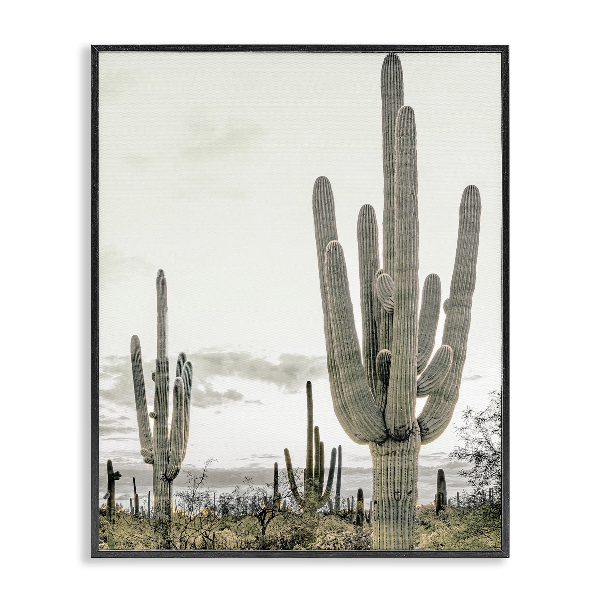 Stupell Industries Subdued Desert Cacti Black Framed Giclee Art, design by Kim Allen