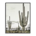 thumbnail image 1 of Stupell Industries Rustic Lodge Subdued Desert Cacti Black Framed Giclee Art, 11 x 14, by Kim Allen, 1 of 8