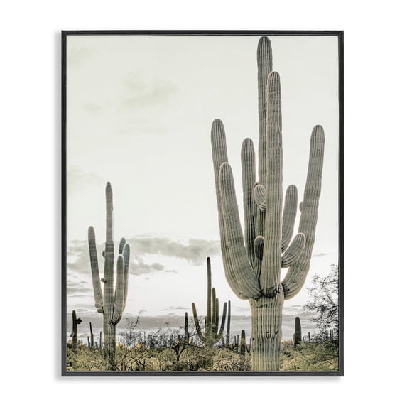 Stupell Industries Rustic Lodge Subdued Desert Cacti Black Framed Giclee Art, 11 x 14, by Kim Allen