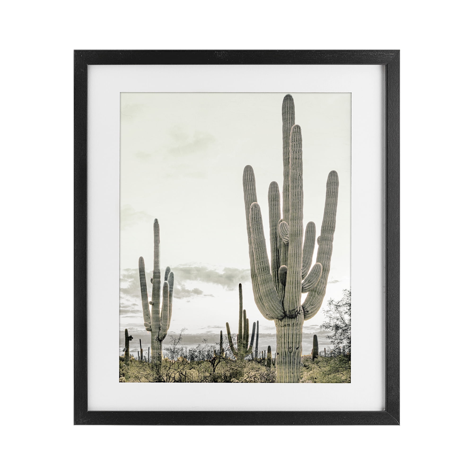 Stupell Industries Subdued Desert Cacti Black Framed Print Under Glass, design by Kim Allen