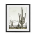 thumbnail image 1 of Stupell Industries Rustic Lodge Subdued Desert Cacti Black Framed Print Under Glass, 13 x 16, by Kim Allen, 1 of 8