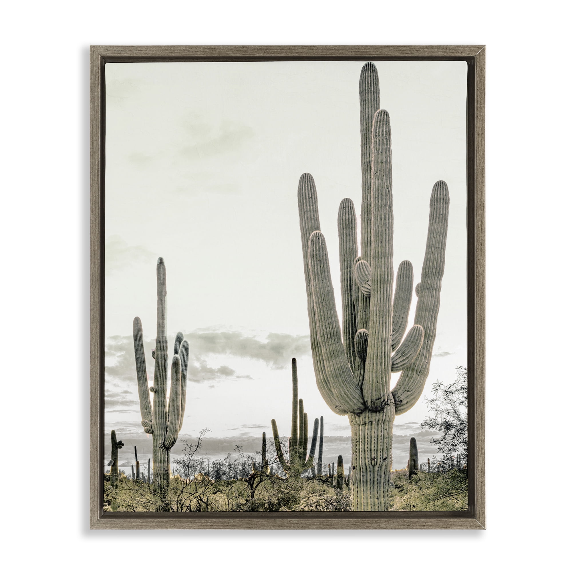 Stupell Industries Subdued Desert Cacti Brown Framed Floater Canvas Wall Art, design by Kim Allen
