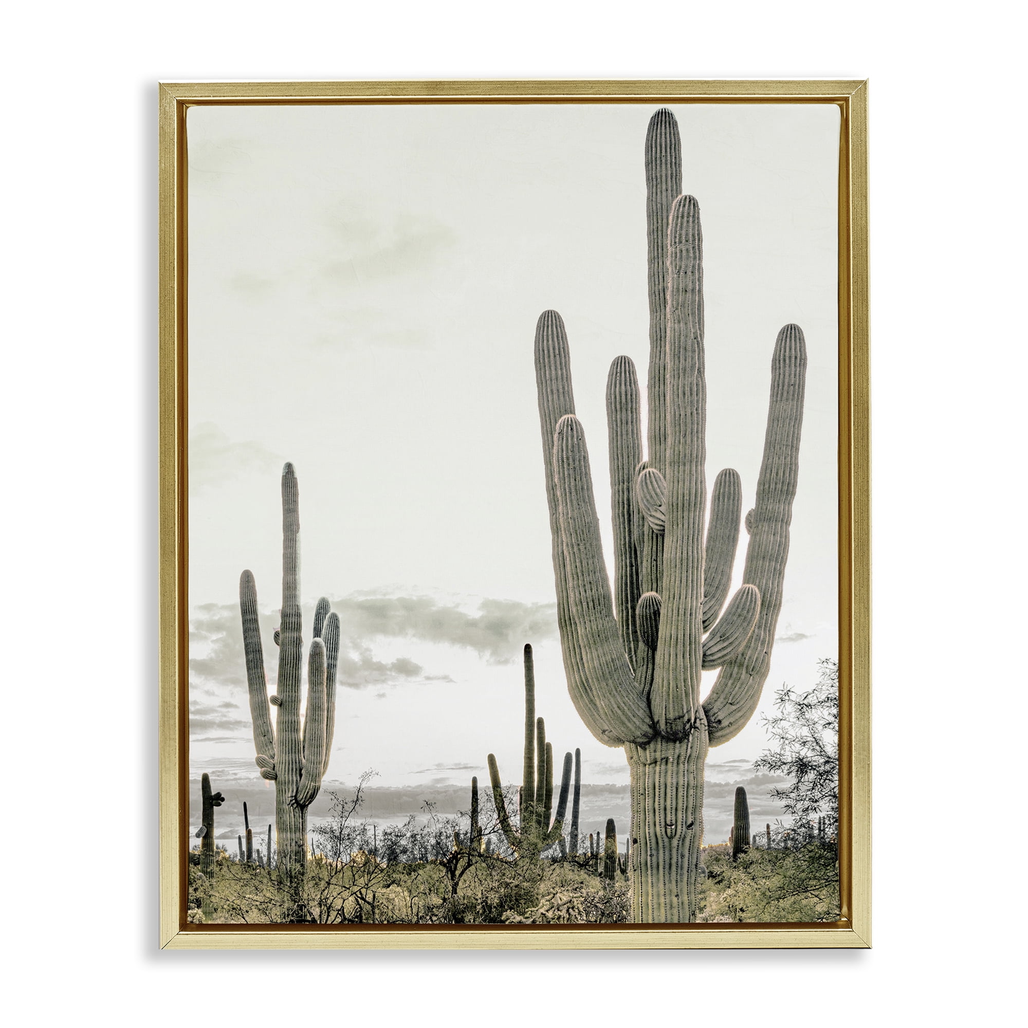 Stupell Industries Subdued Desert Cacti Gold Framed Floater Canvas Wall Art, design by Kim Allen