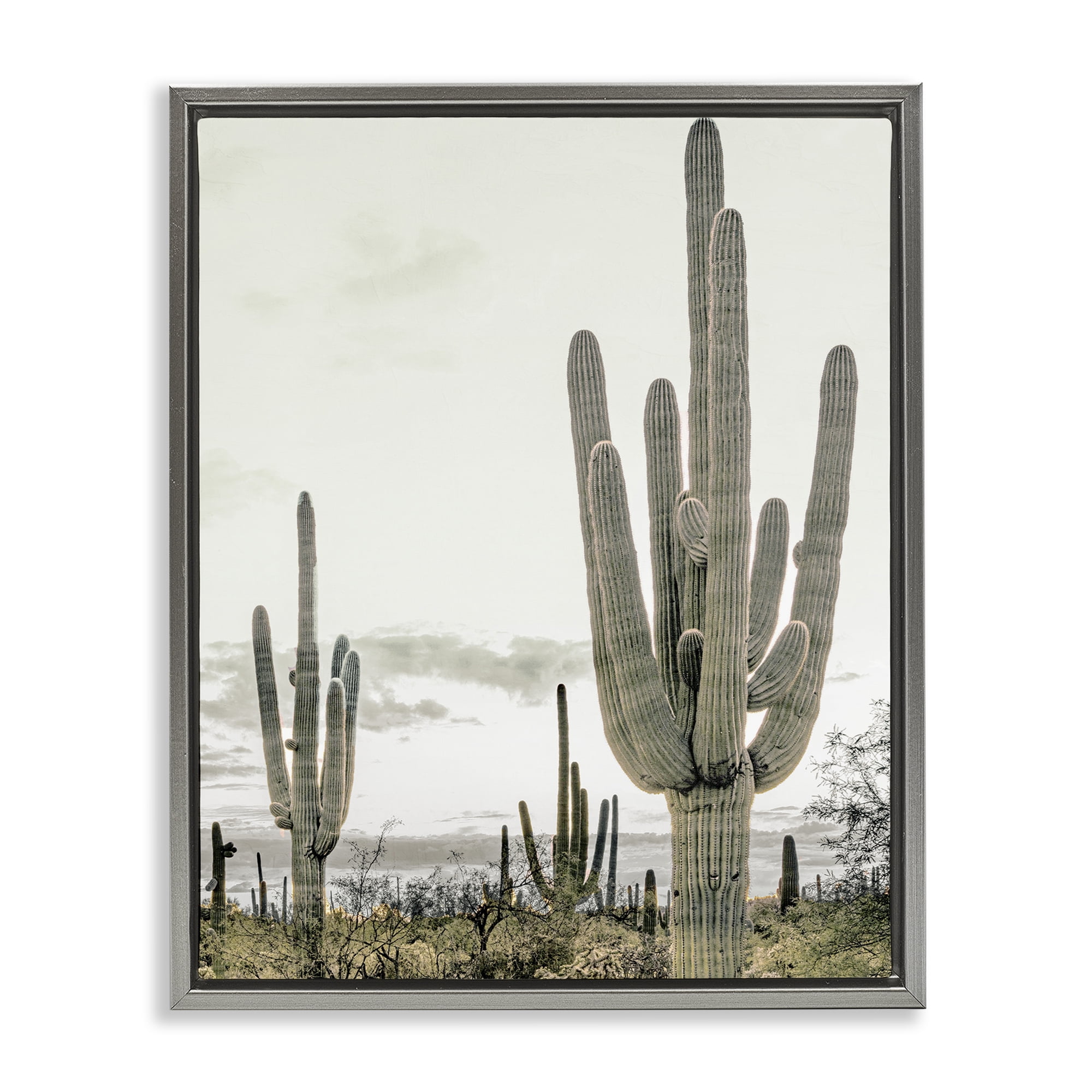 Stupell Industries Subdued Desert Cacti Gray Framed Floater Canvas Wall Art, design by Kim Allen