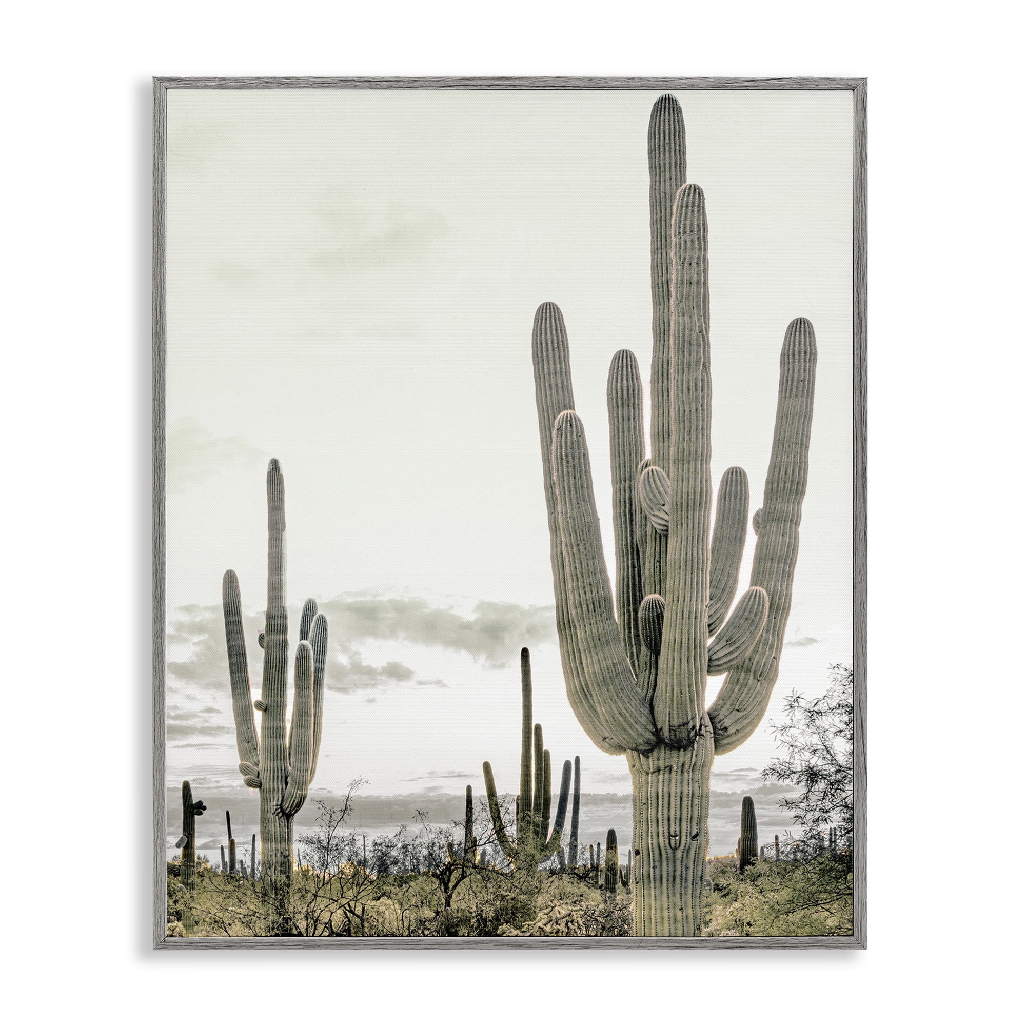 Stupell Industries Subdued Desert Cacti Gray Framed Giclee Art, design by Kim Allen