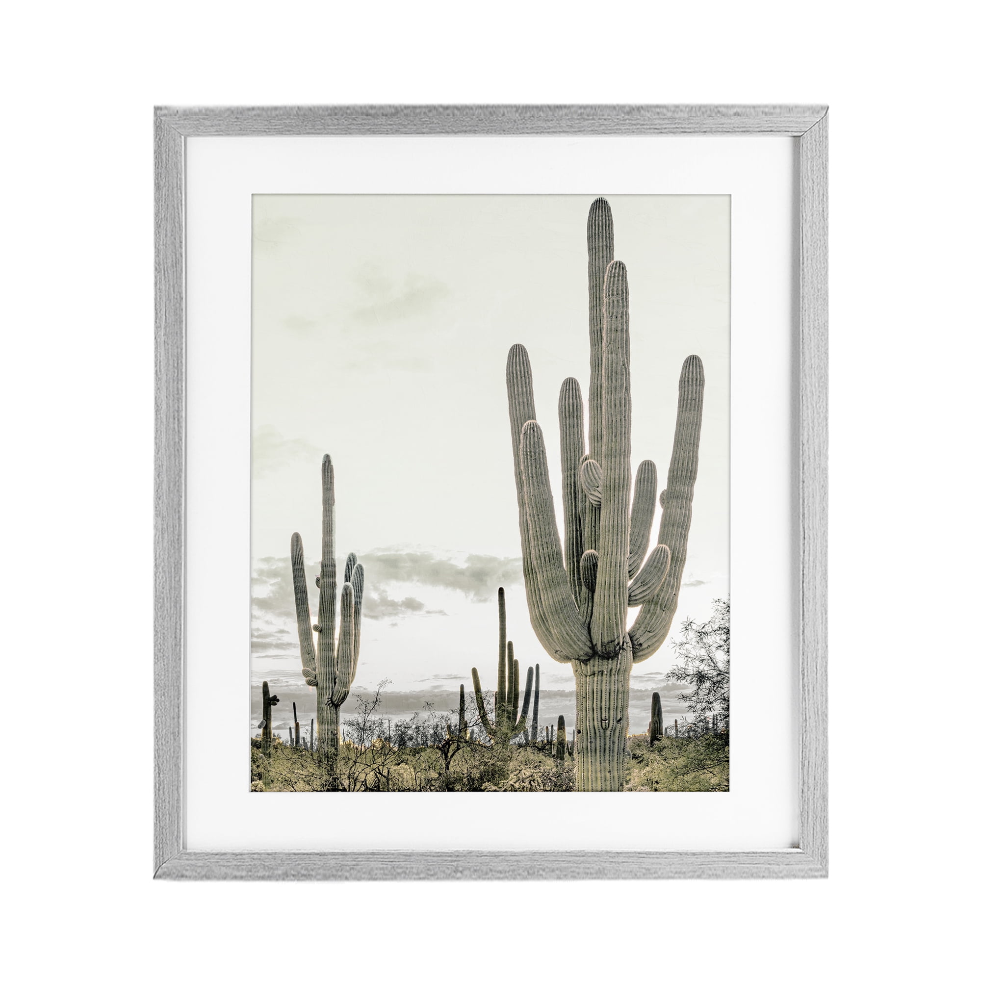 Stupell Industries Subdued Desert Cacti Gray Framed Print Under Glass, design by Kim Allen