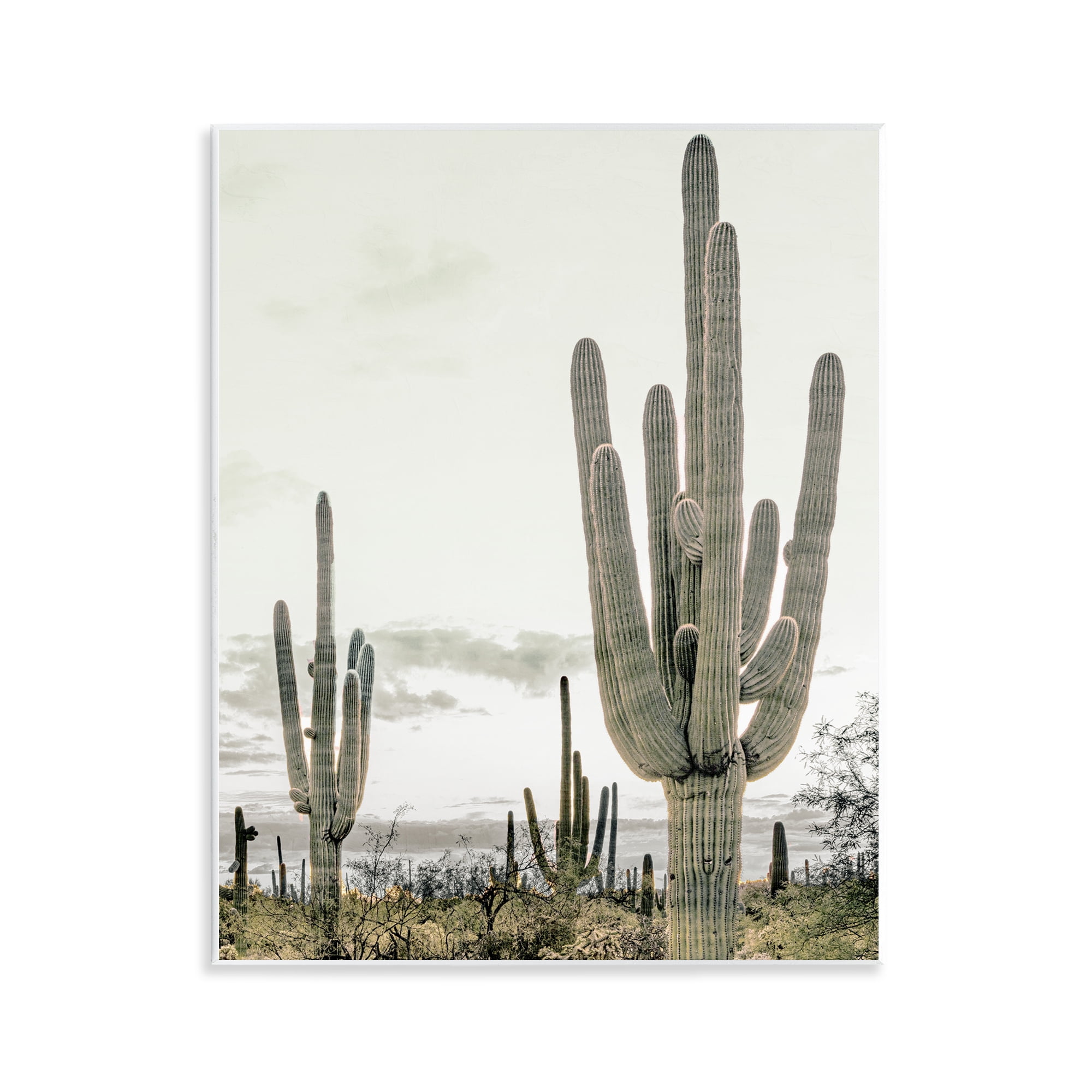 Stupell Industries Subdued Desert Cacti Wall Plaque Art, design by Kim Allen