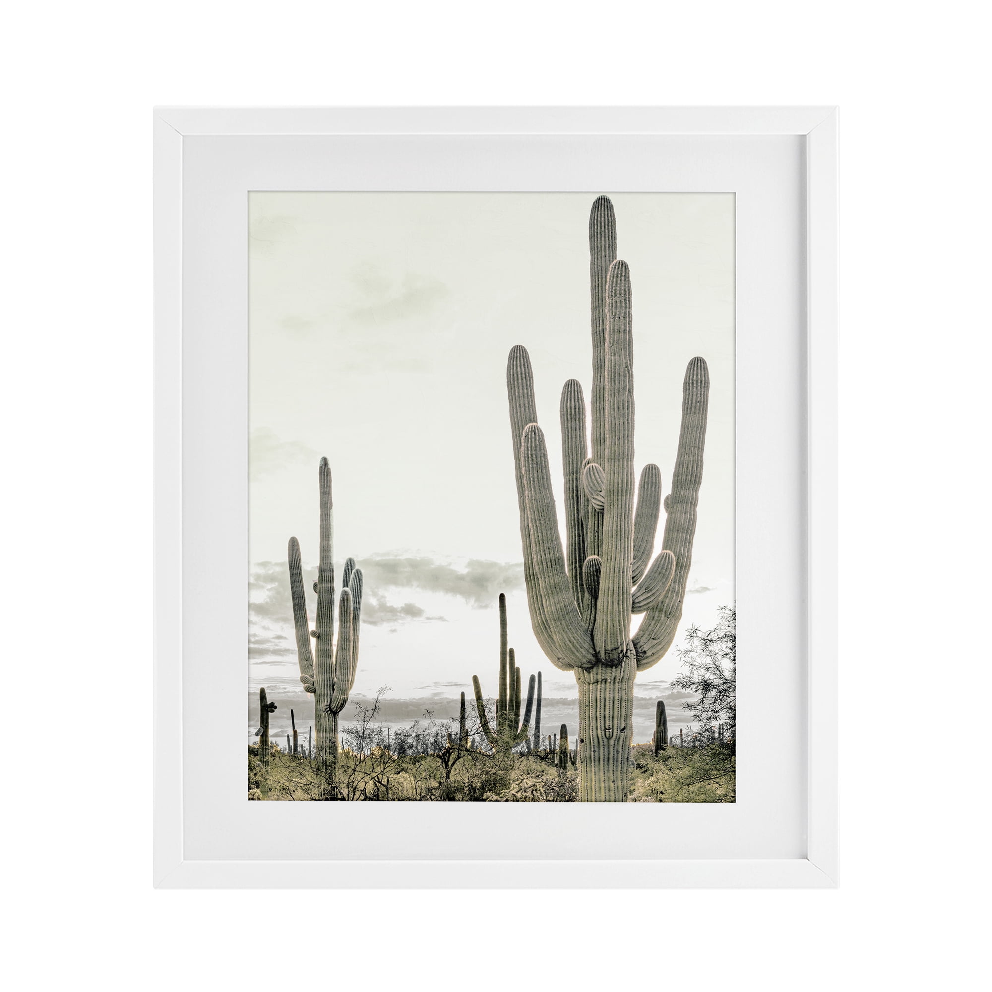 Stupell Industries Subdued Desert Cacti White Framed Print Under Glass, design by Kim Allen