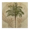 thumbnail image 1 of Stupell Industries Shabby Chic Subdued Tropics Palm Canvas Art, 17 x 17, by Steve Hunziker, 1 of 8