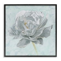 Stupell Industries Sublime Peony Bloom Botanical & Floral Painting Black Framed Art Print Wall Art, 12 x 12