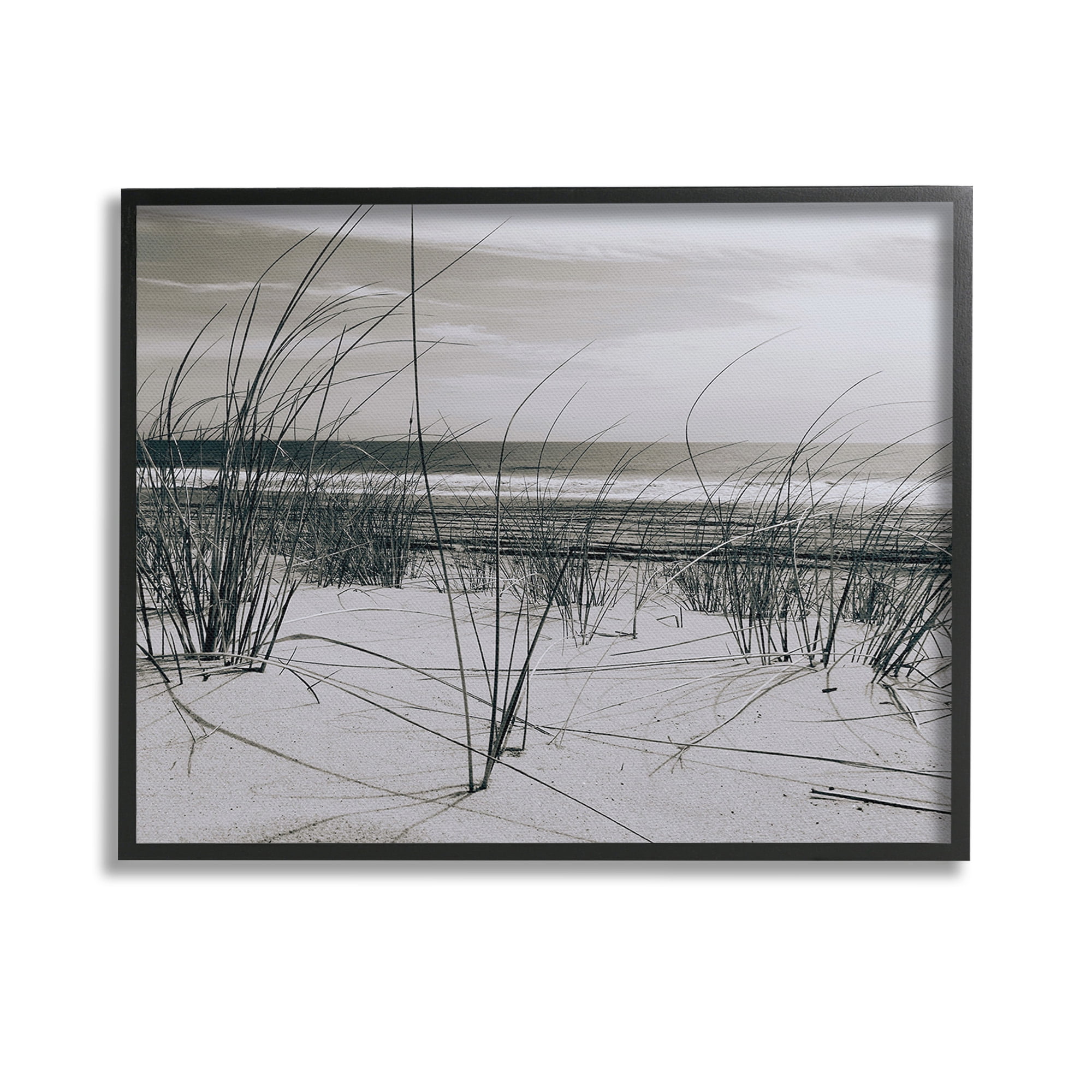 Stupell Industries Subtle Beach Reeds Landscape Photography Black Framed Art Print Wall Art, 14 x 11