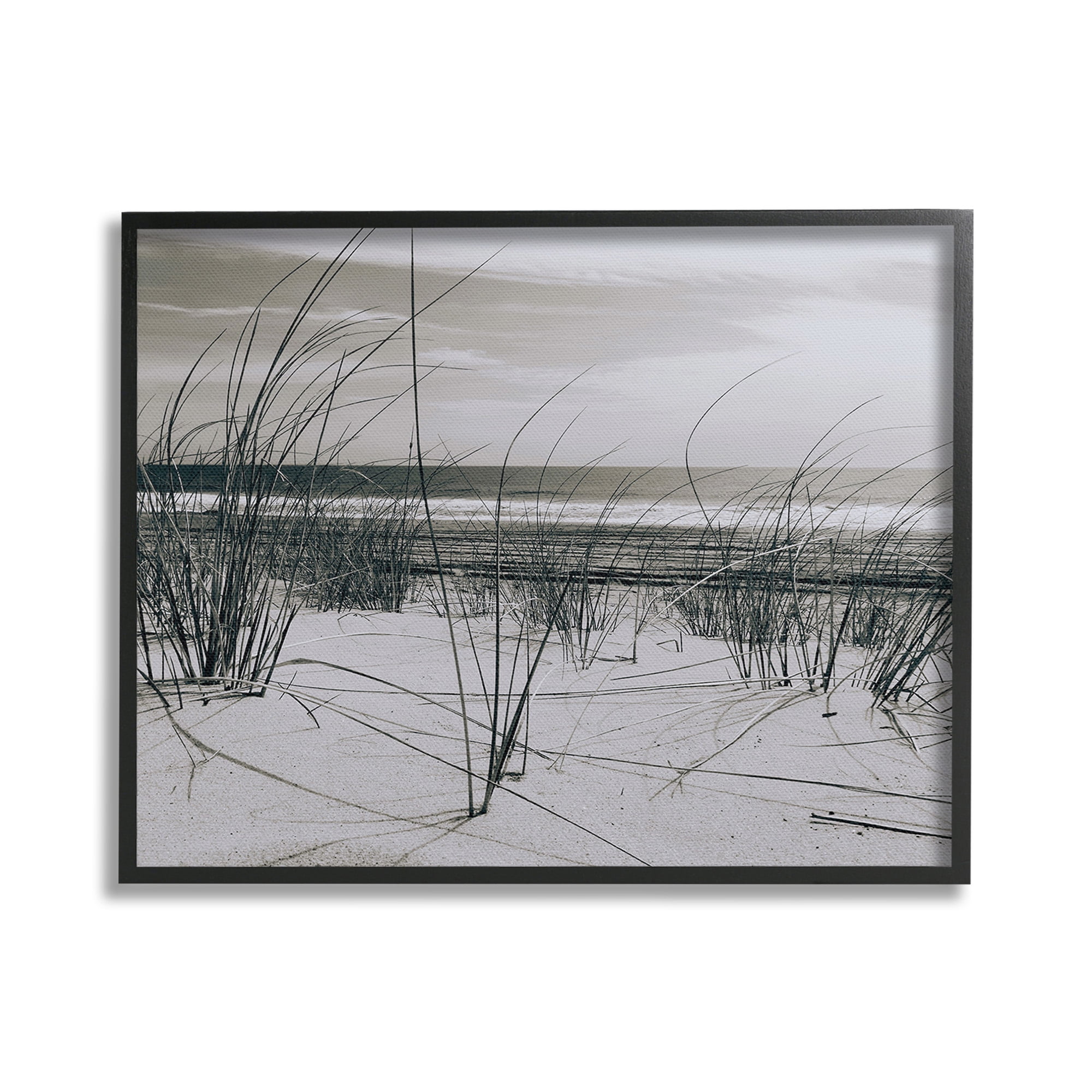 Stupell Industries Subtle Beach Reeds Landscape Photography Black Framed Art Print Wall Art, 20 x 16