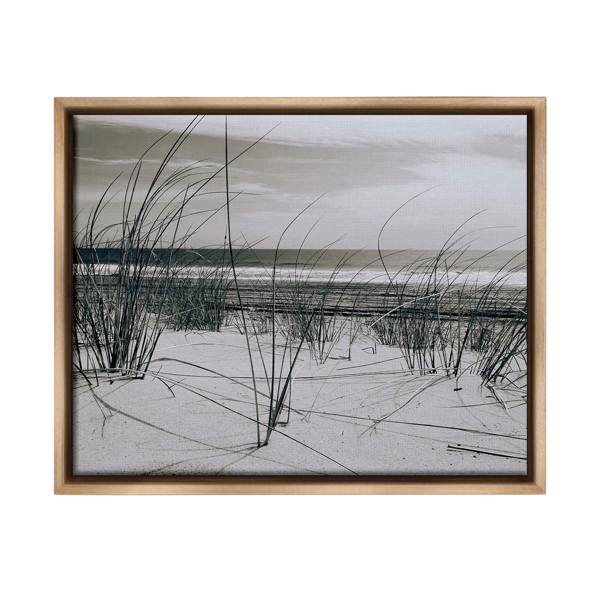 Stupell Industries Subtle Beach Reeds Landscape Photography Brown Floater Framed Canvas Art Print Wall Art, 31 x 25