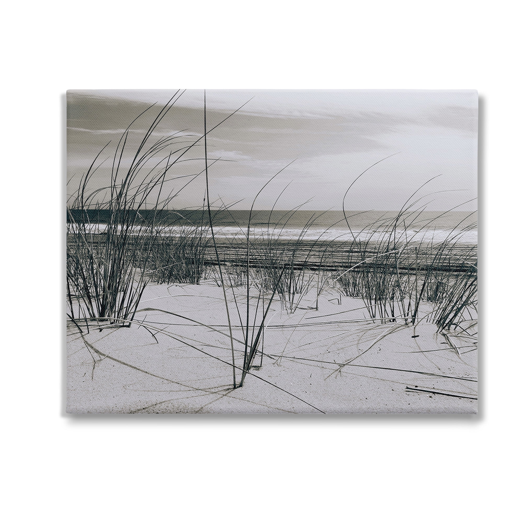 Stupell Industries Subtle Beach Reeds Landscape Photography Gallery Wrapped Canvas Art Print Wall Art, 30 x 24
